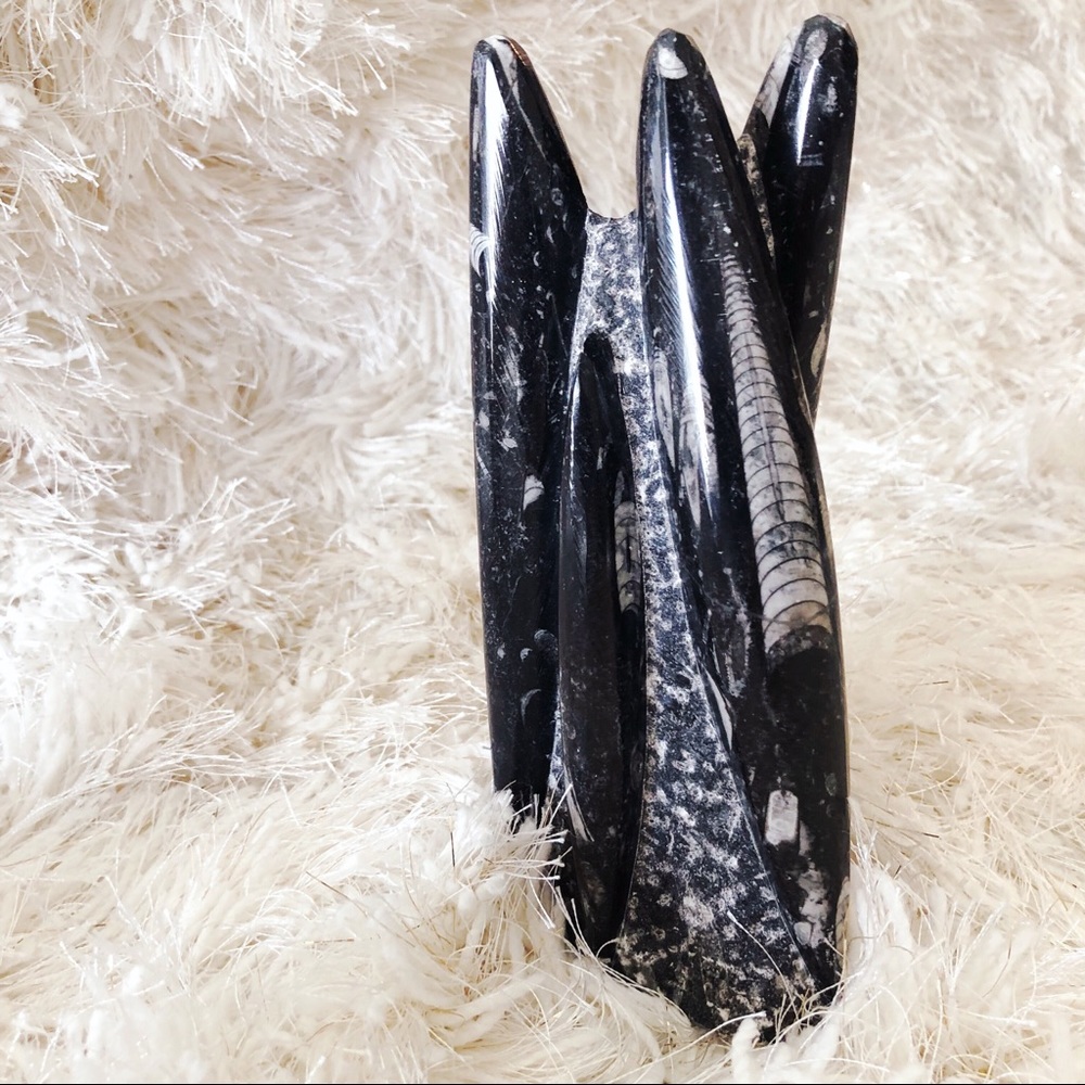 RARE 8in Orthoceras Crystal Fossil Centerpiece